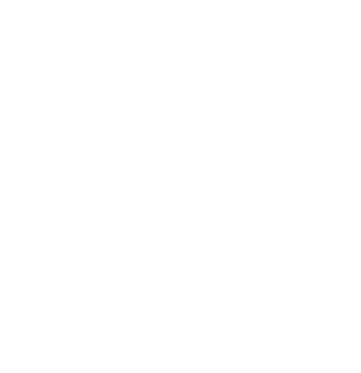 Mahyar Alirezaei leading and mentoring creative teams to deliver exceptional results